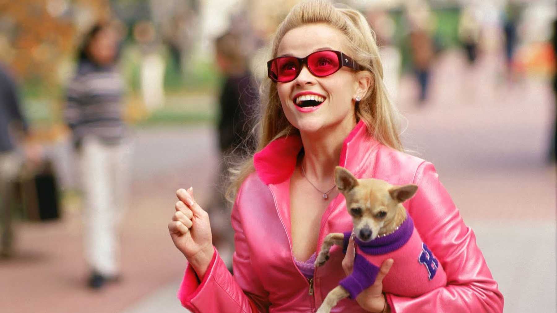 Bend and snap': Legally Blonde 3 has been confirmed for the big screen | IMAGE.ie