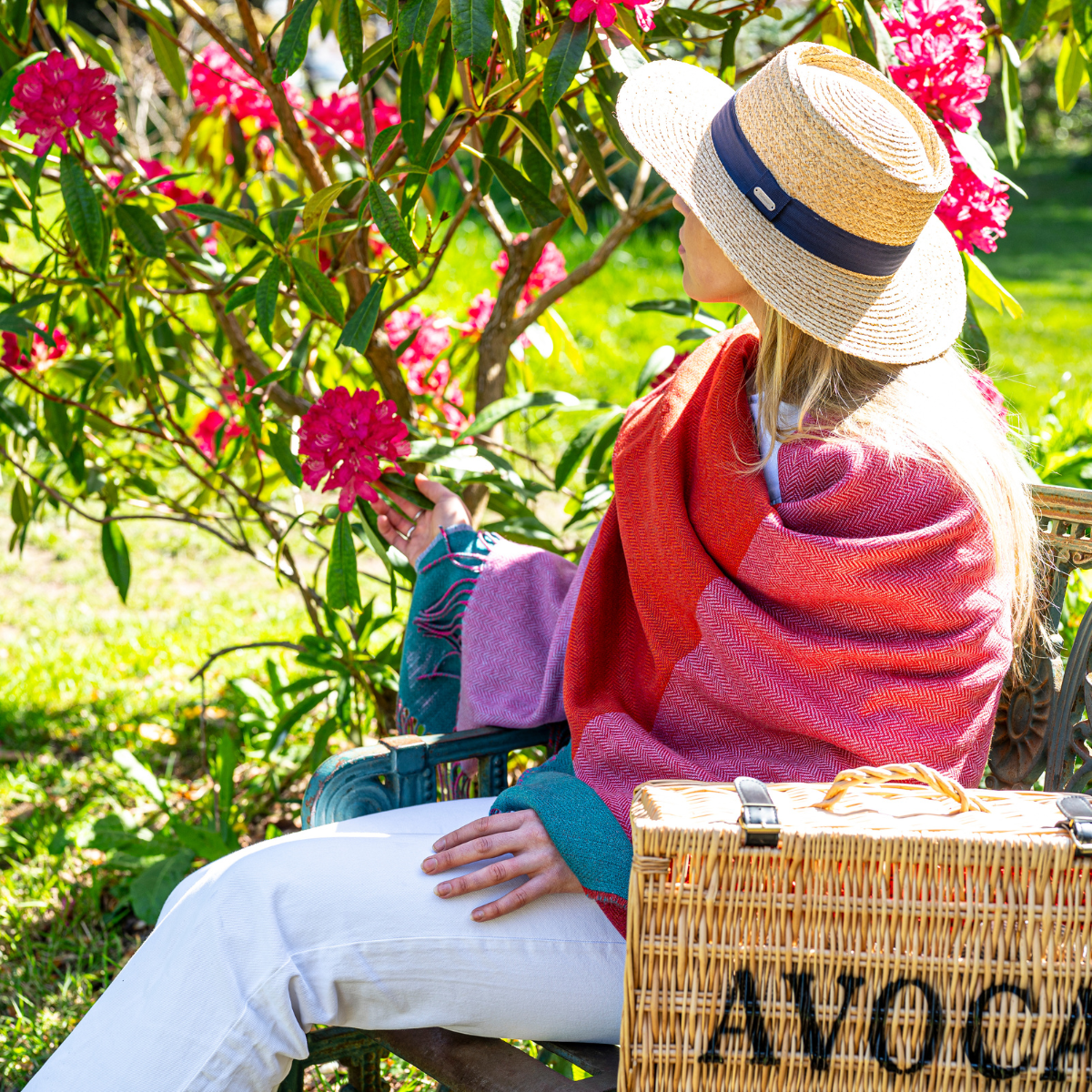 Avoca