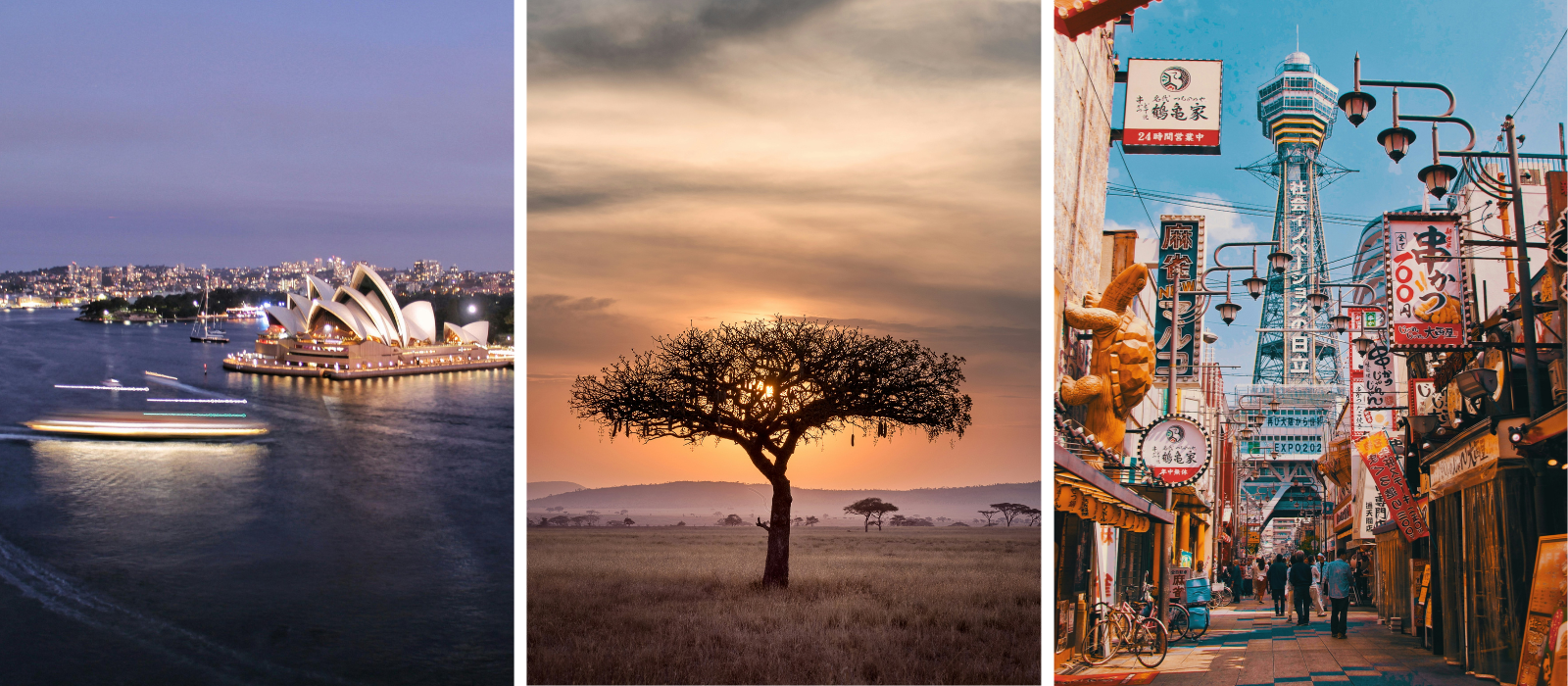 Team IMAGE shares where they want to travel this summer